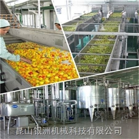 桃汁饮料生产线