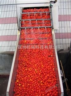 大型全自动番茄酱生产线成套设备