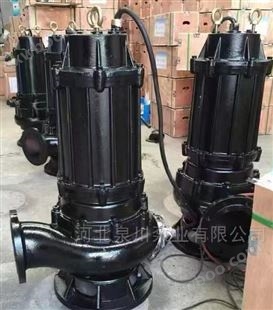 搅匀型潜水泵一体化提升泵 液下排污泵