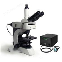 25039-1POLYSCIENCES直立荧光显微镜25039-1