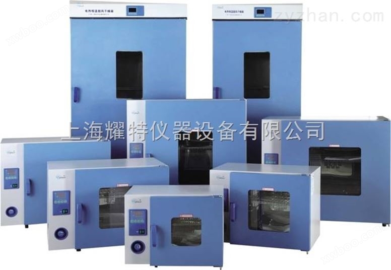 上海鼓风干燥箱（DHG-9000系列）