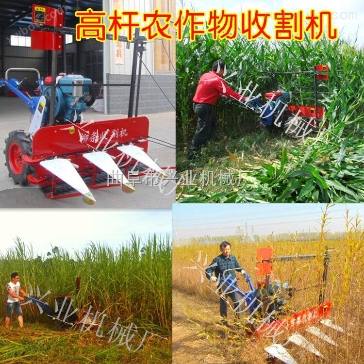 贵州胡麻药材收割机 芦苇玉米收割机 稻麦割晒机