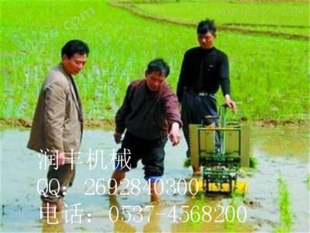 好用的水稻插秧机 新款水田使用的水稻插秧机