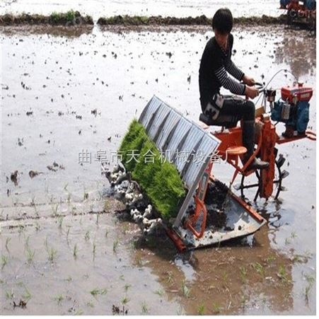 水稻插秧机的价格行情及图片 省时省力农业种植机械