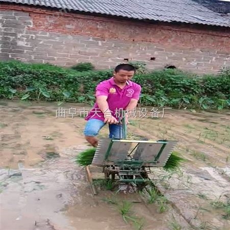 新式水稻插秧机的图片 省时省力农业种植机械