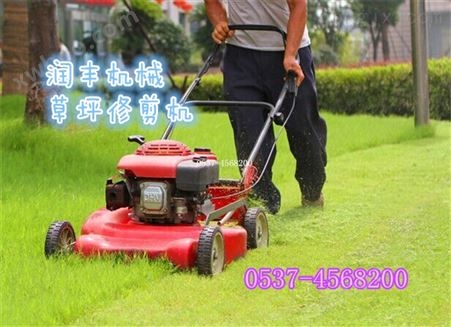 剪草草坪机价格 供应优质草坪修剪机
