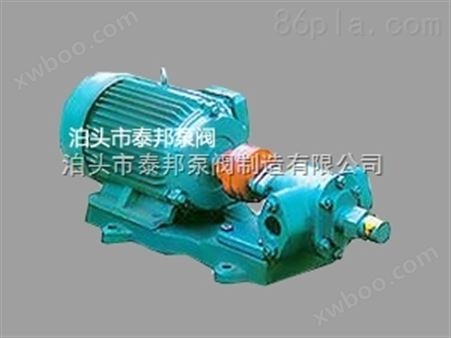 TYB-20渣油泵,质量靠技术（泊泰邦）