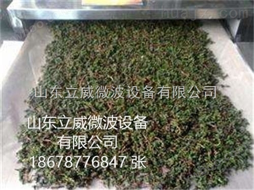 微波设备厂家专业生产茶叶杀青设备 微波杀青设备