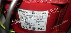 进口瑞士变压器wagner+grimm transformer上海代理