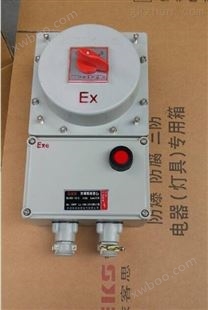BDZ-25A防爆断路器箱/漏电保护开关盒