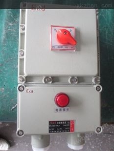 BDZ-25A防爆断路器箱/漏电保护开关盒
