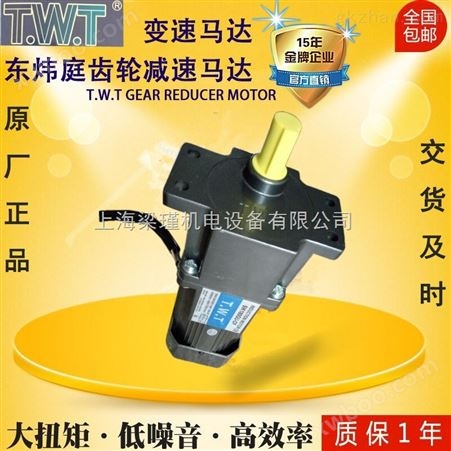 厂家批发直销TWT东炜庭微型减速马达微型变速马达报价