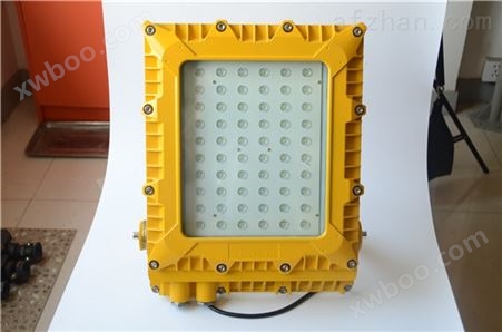 浙江温州 DGS150/127L隔爆型LED泛光灯