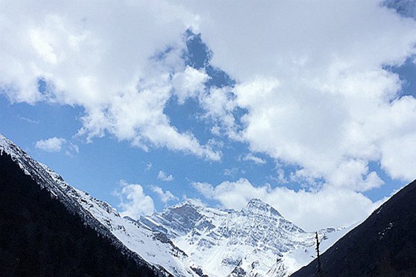 国内最高海拔！西藏山南琼结风电项目并网发电