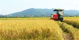 辽宁省DB21/T 3601.7—2023《农机作业系列技术规程 第7部分：割晒机（水稻）》